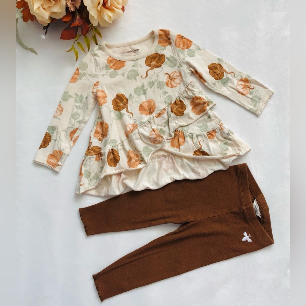 🎃🍁 Burt’s Bees Organic Cotton Cream & Brown Pumpkin Print Matching Set, 12M